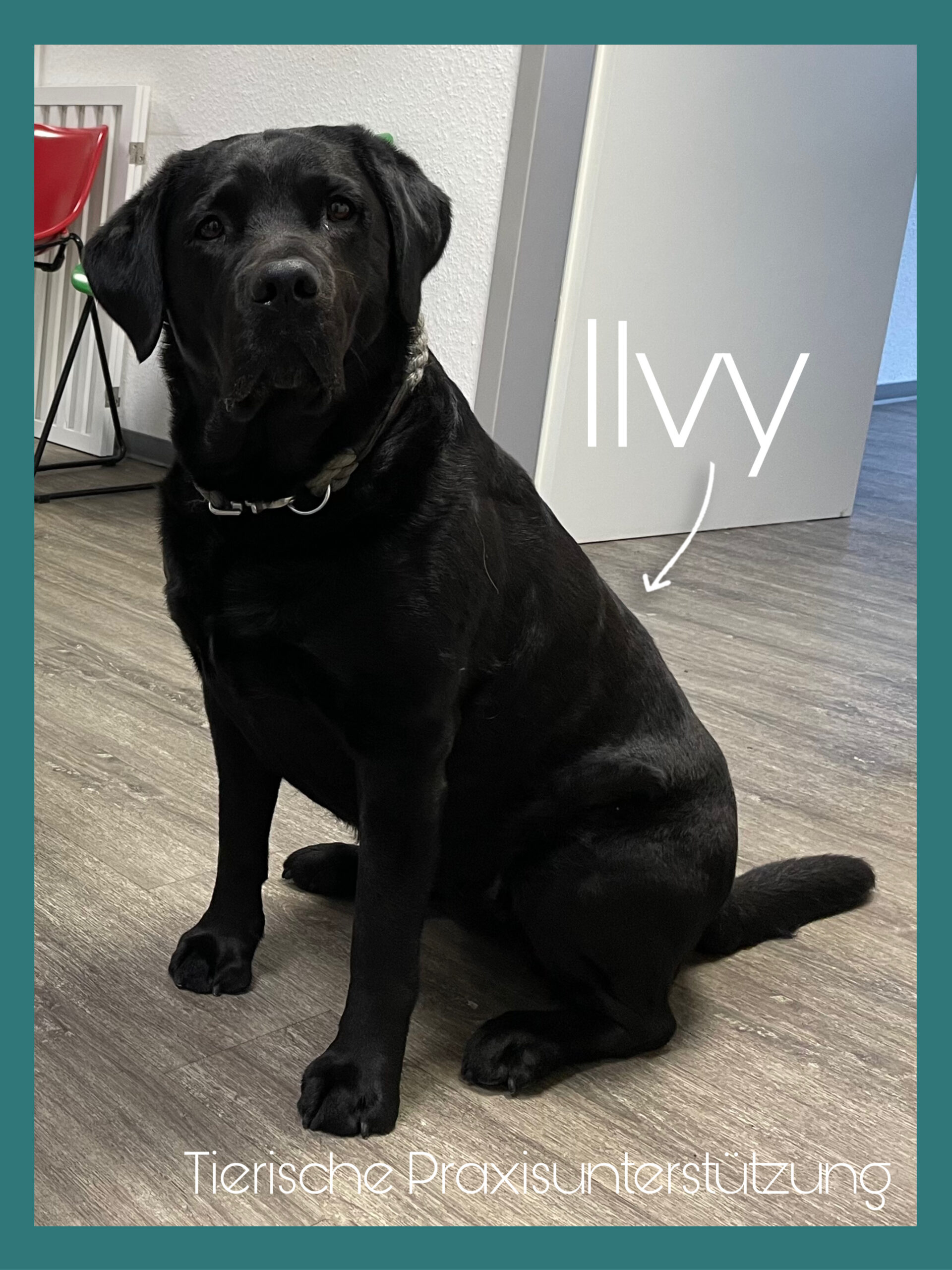 0C79E9EA-45F9-4F90-9C41-AAF1243FB6EF