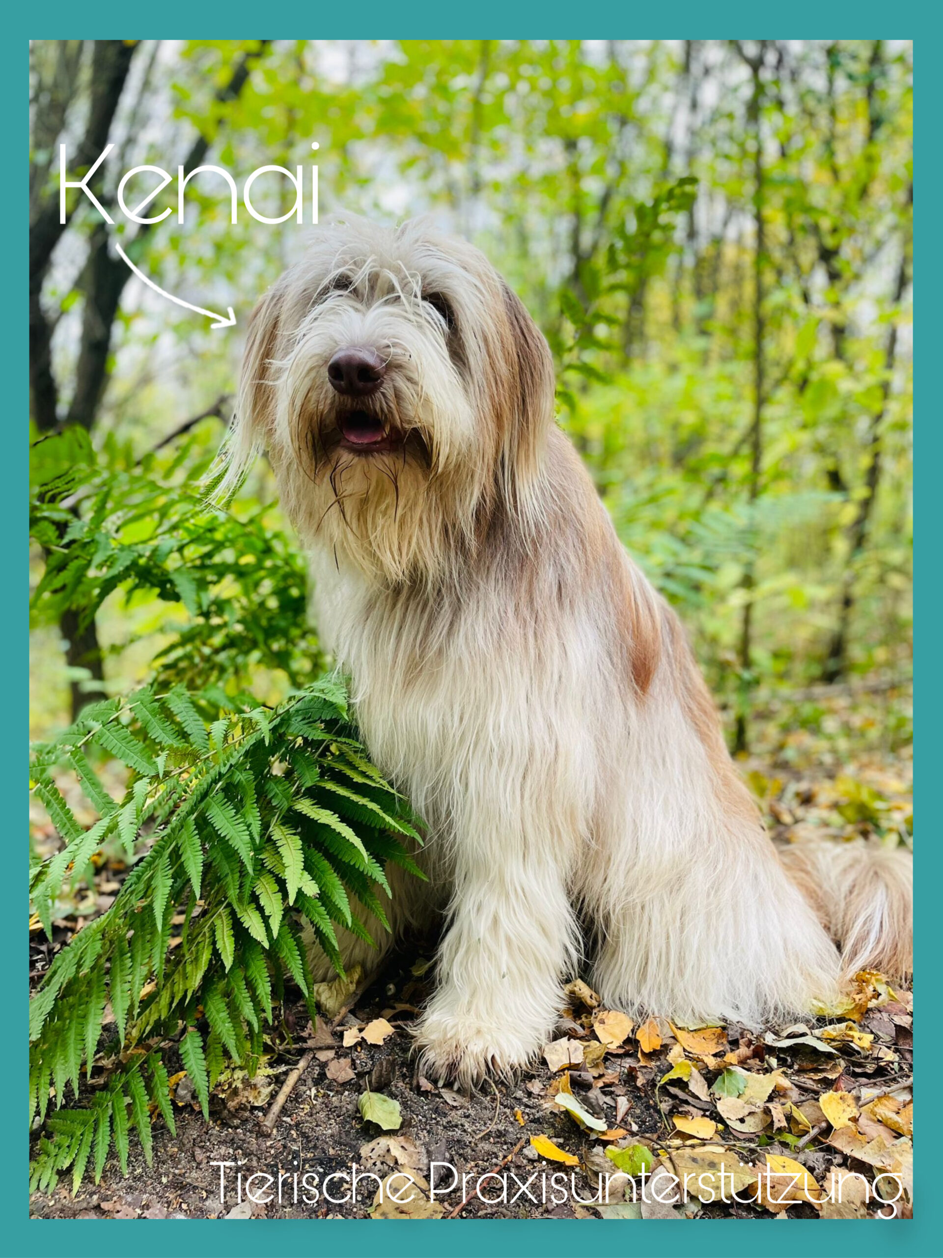 38D4FF5F-3770-4E6D-A1CD-3BD9E20D2132