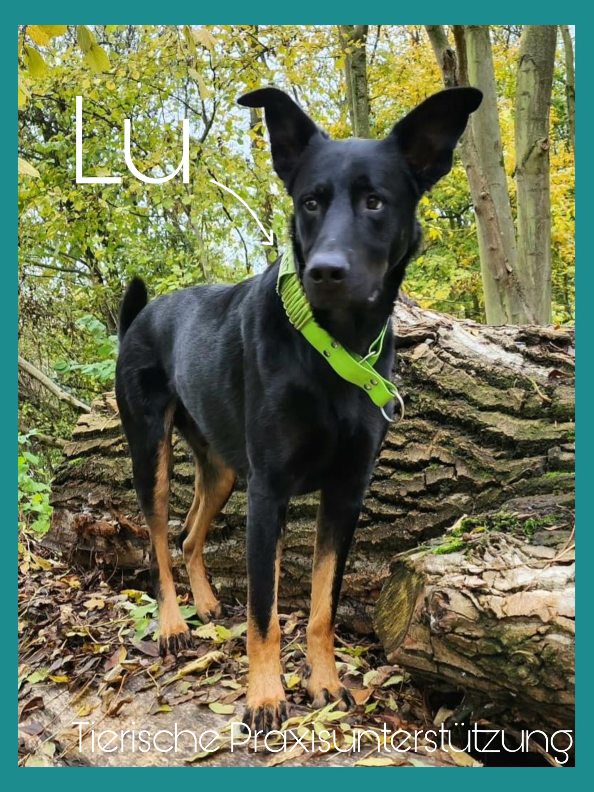 7E24A2A6-CAFA-417D-9C6E-DAB0D7261B53