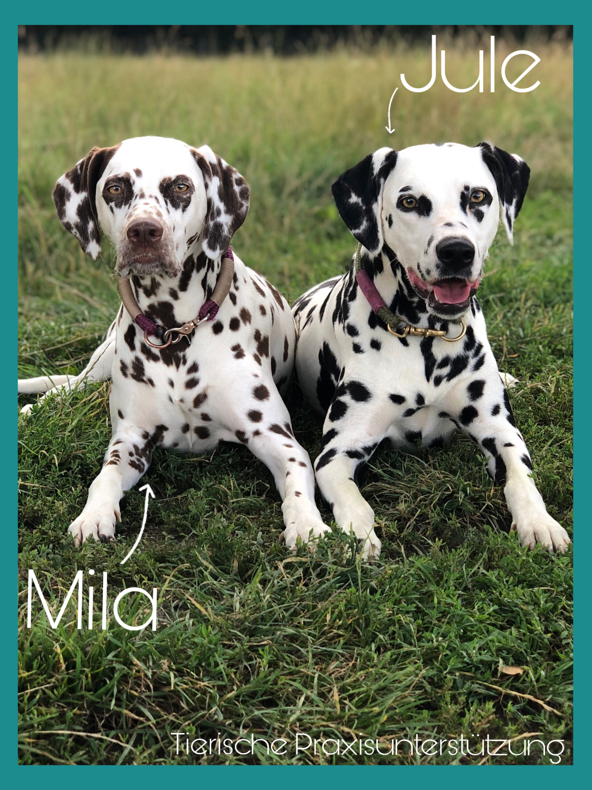 EE71720E-46DC-43CC-8D7D-DB6DABCC4ACE